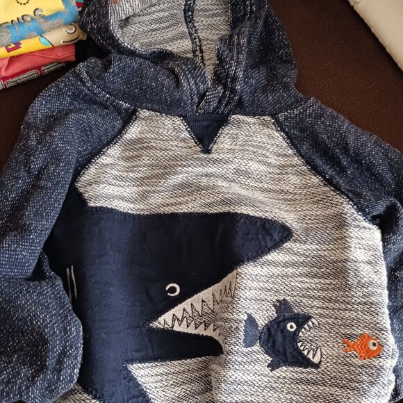 18 Pc Boys 18-24 Mo. Mixed Lot of Clothes - Picture 4 of 10